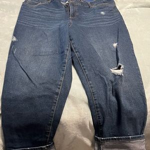Terra and sky cropped jeans 18W